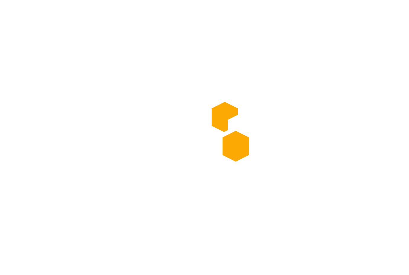 Hachisuka Lab